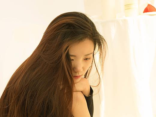 斑鸠鸠-暖冬写真