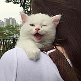 H小萍的头像
