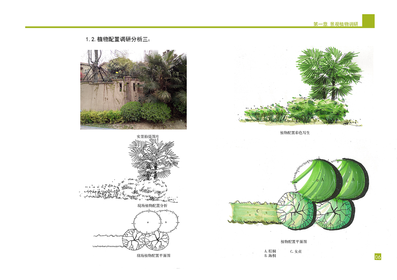 庭院景观植物设计方案
