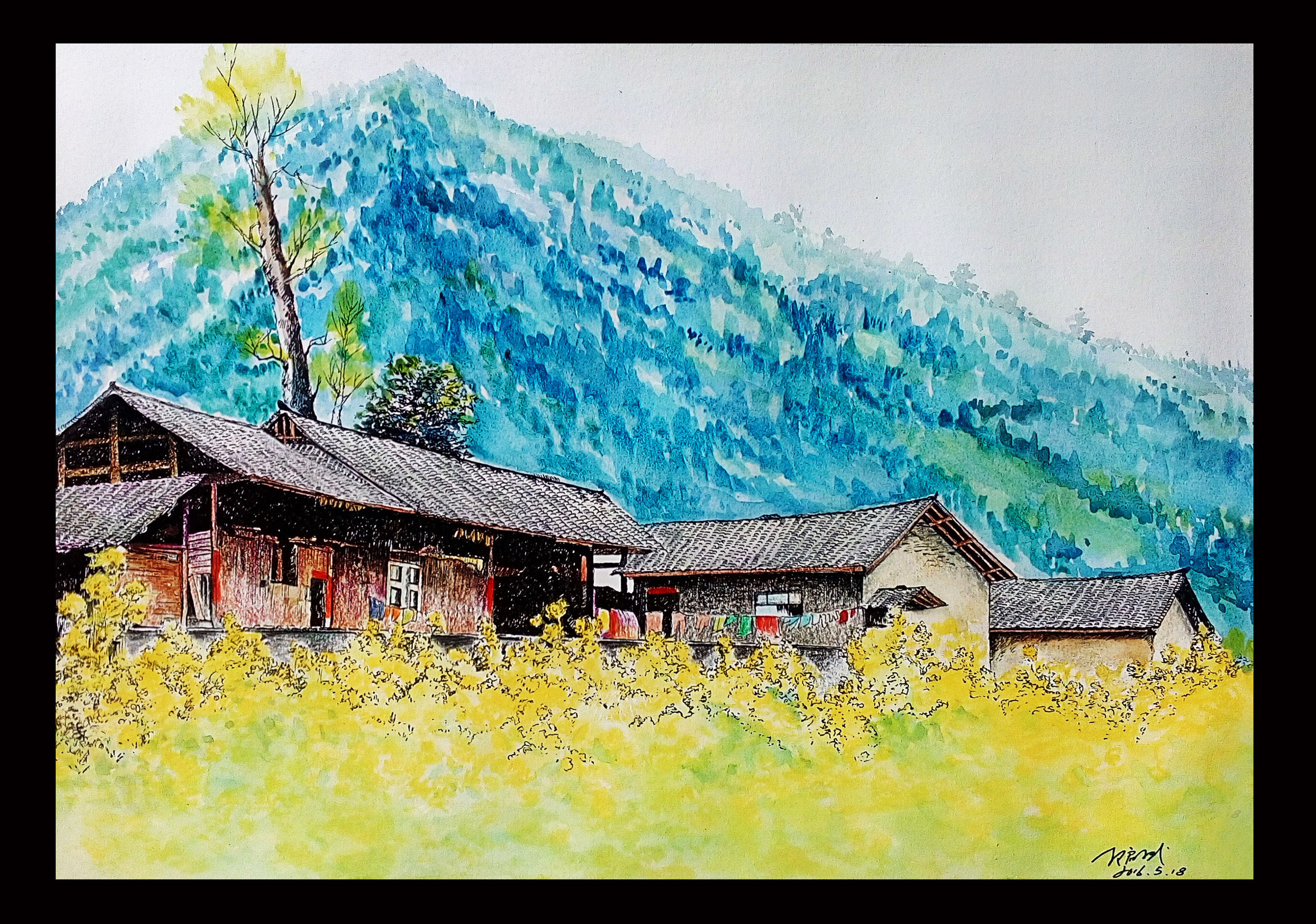 乡村系列 钢笔淡彩 春天的油菜花
