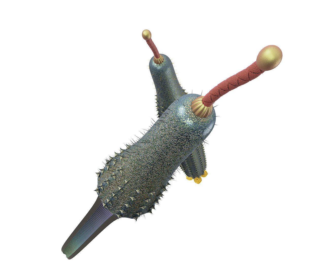 【果蔬系列】（图ZMTYwODMyMTUy） - 生活用品 - 站酷设计师凉茶菌原创素材 - 站酷ZCOOL