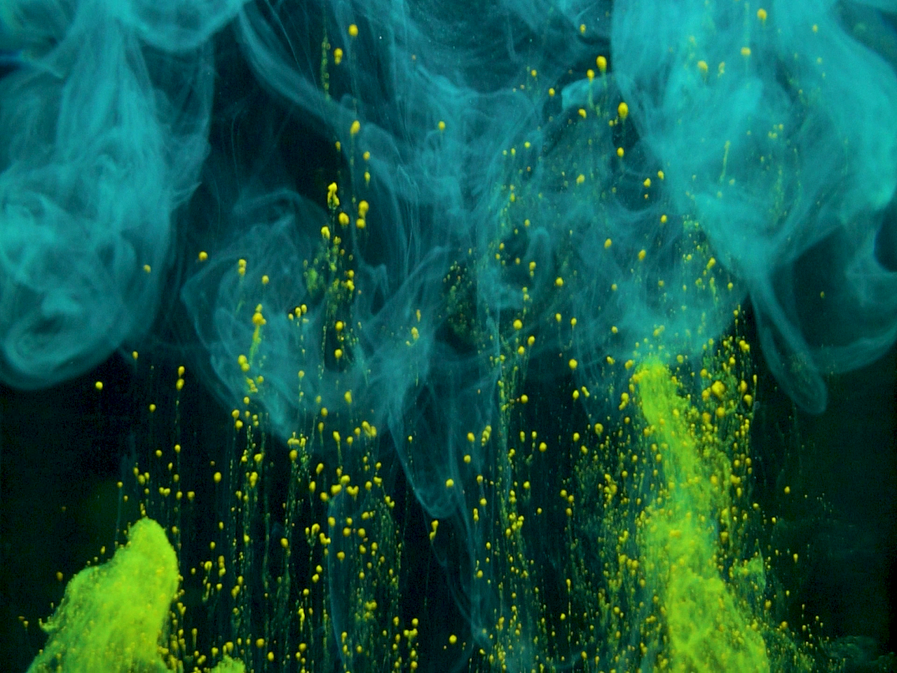 流体艺术Fluid Art 【定新丸nicho zhang 阿鲁】