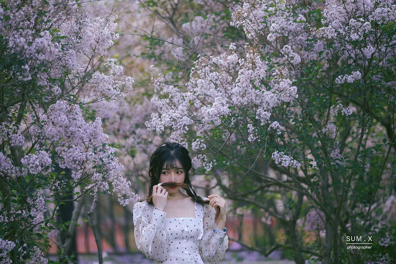 我是不是与你见过春天