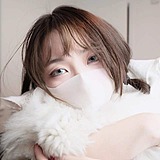 YD_li的头像