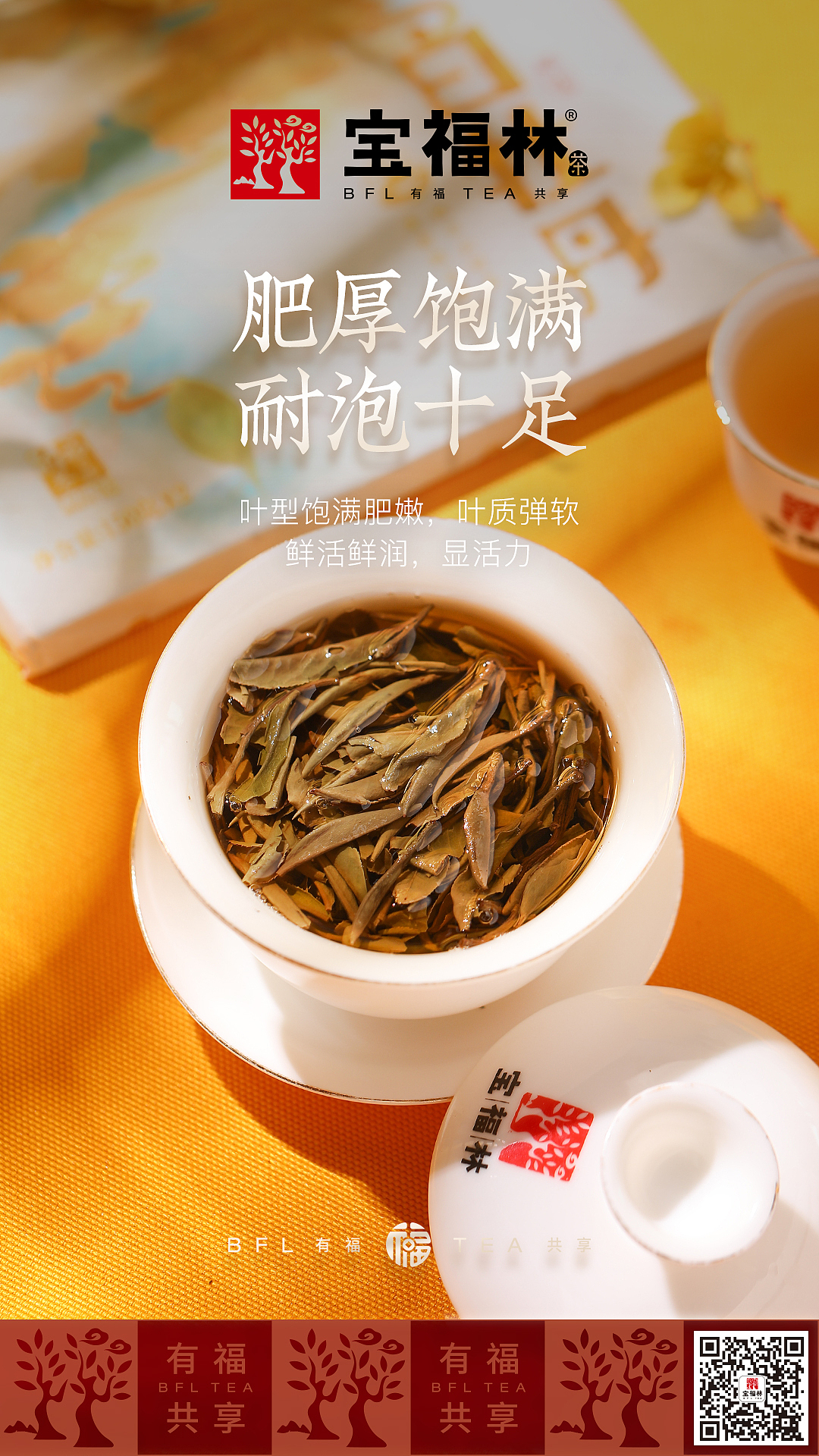 福鼎白茶 白牡丹