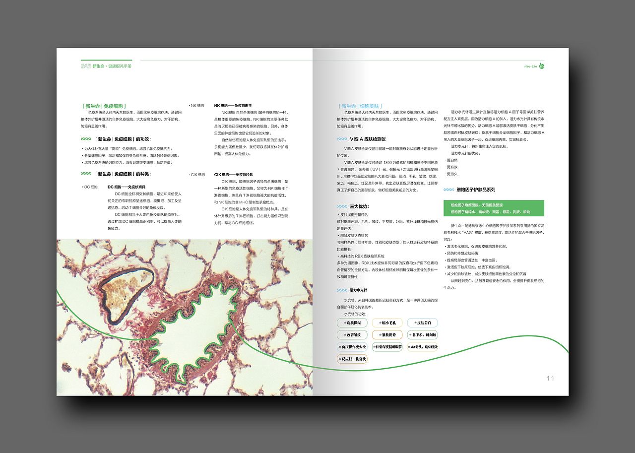 干细胞库画册模板设计（图ZNTQyNjY3NzI=） - 宣传物料 - 站酷设计师桃坞原创素材 - 站酷ZCOOL