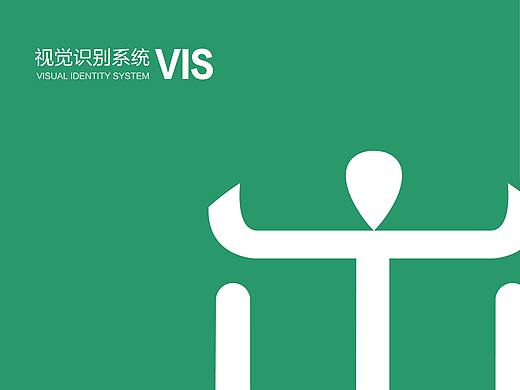 VIS手册