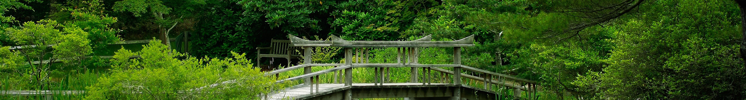 烟幕123的个人主页（封面预览） - 主页封面设置 - 站酷设计师烟幕123原创素材 - 站酷ZCOOL