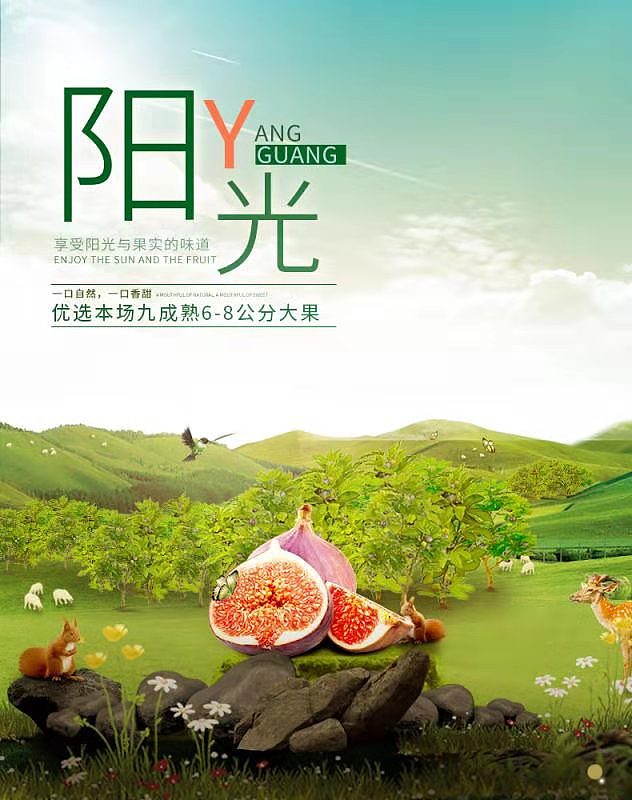 无花果海报合集