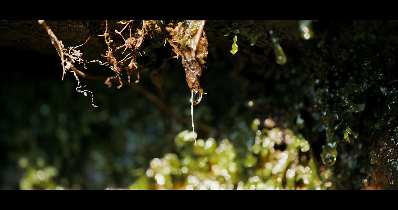 西湖盛宴·餐具（图ZMjk1NDgzMzMy） - 产品摄影 - 站酷设计师izhartursun原创素材 - 站酷ZCOOL