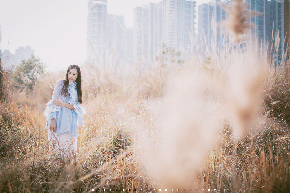 梦里不知身是客