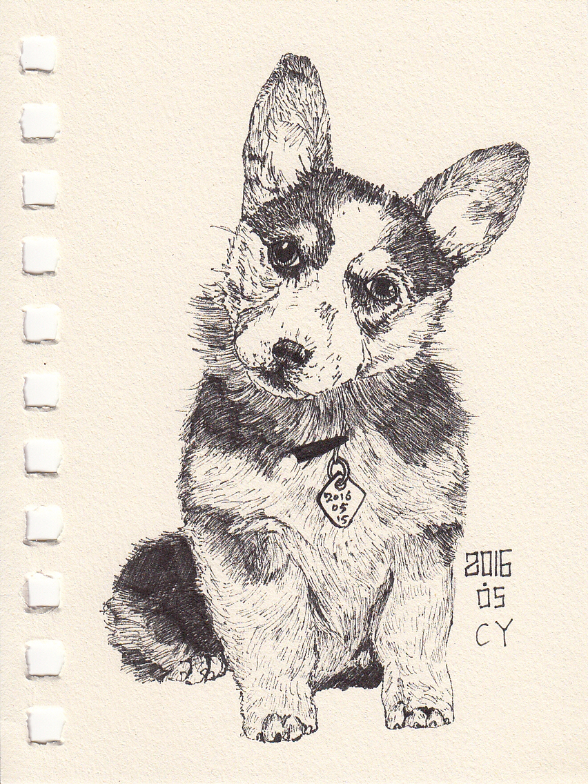 CY手绘之针管笔五月第一波