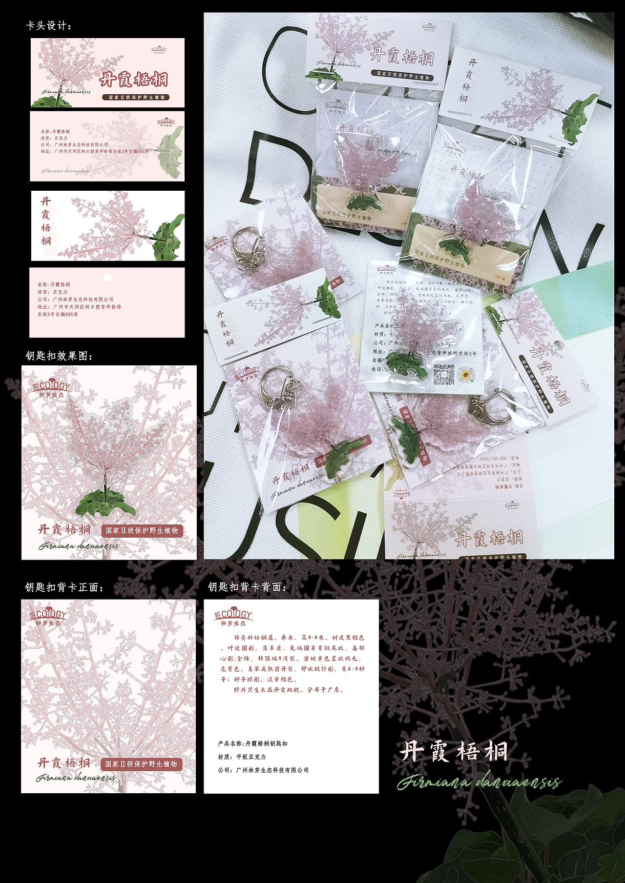 插画文创周边——植物篇（图ZMzAzOTE2OTcy） - 品牌 - 站酷设计师懒九五原创素材 - 站酷ZCOOL