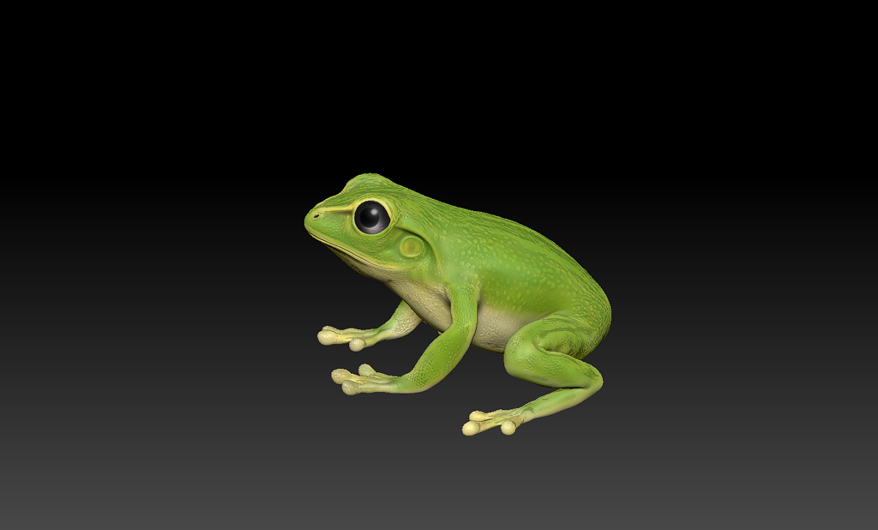青蛙为什么是绿色的？ - 知乎
