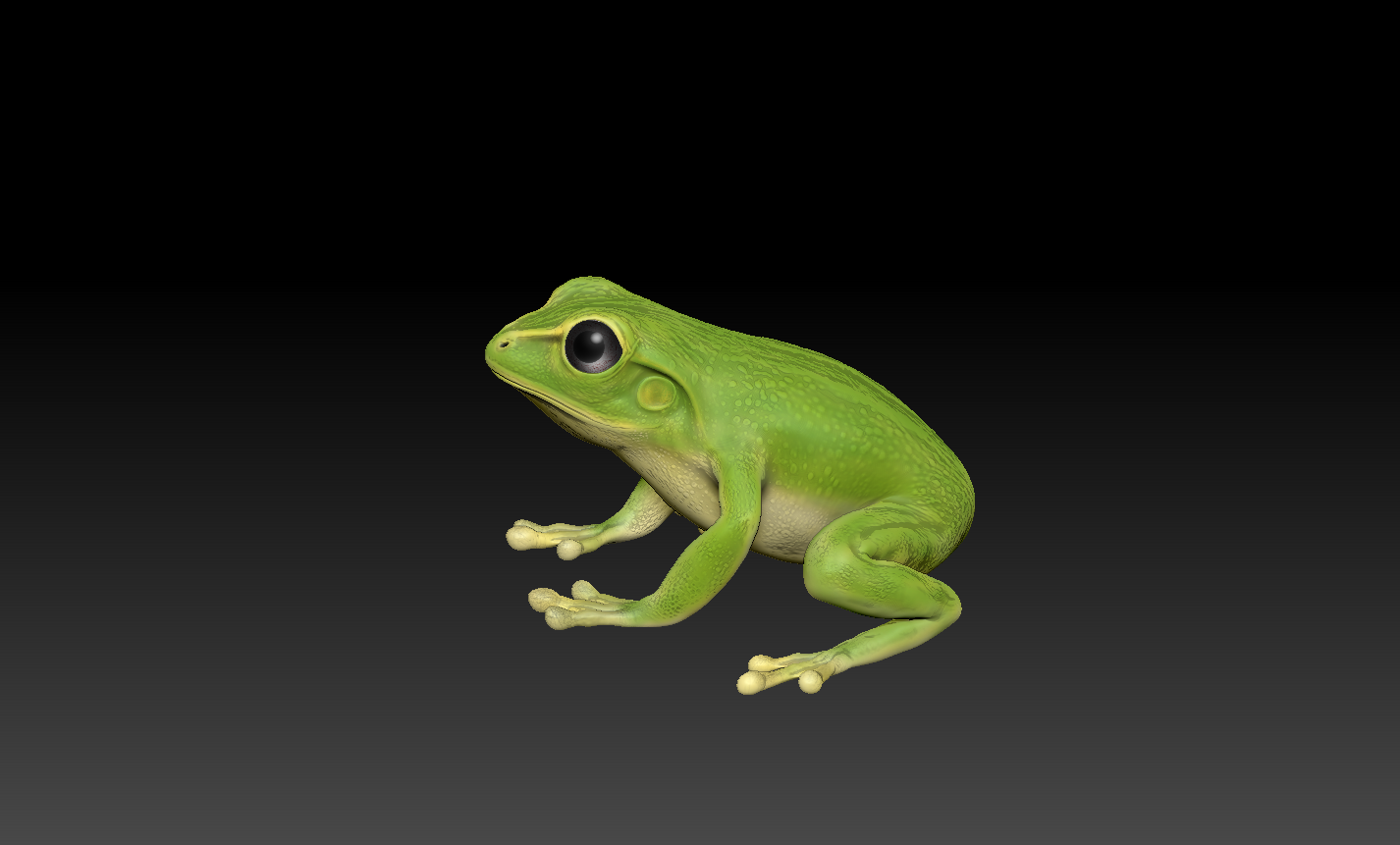 【青蛙生命周期】从小拓展萌娃眼界，一起探索青蛙变形记！ - 知乎