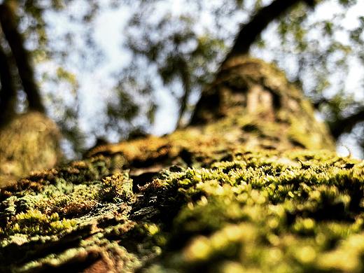 隨拍（個(gè)人主頁(yè)-ZNTA2NzM3NzI=） - 產(chǎn)品攝影 - 站酷設(shè)計(jì)師提姆松松原創(chuàng)素材 - 站酷ZCOOL