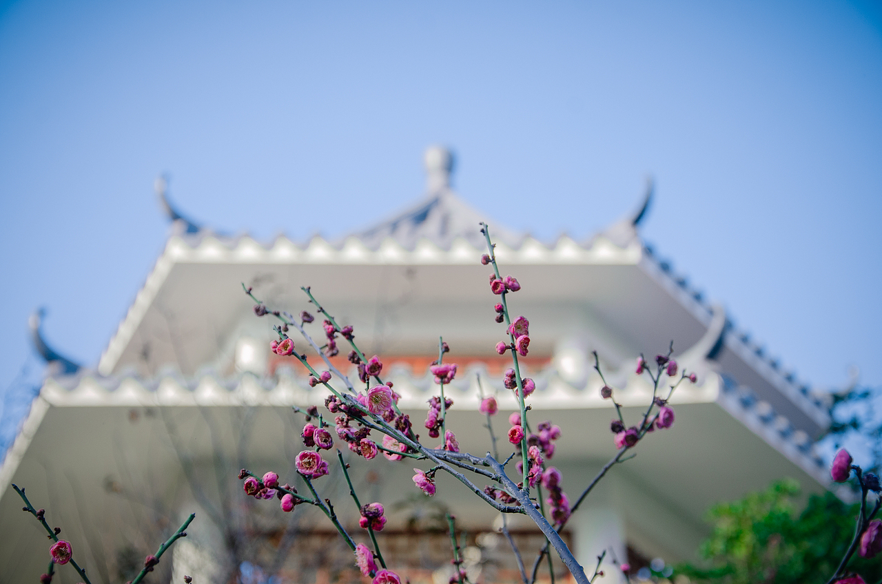 校园摄影（图ZMjY1ODgxMTky） - 风光摄影 - 站酷设计师怪兽人坏原创素材 - 站酷ZCOOL