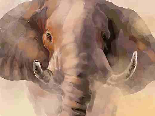 大象（個人主頁-ZMTU4OTI5Mg==） - 商業(yè)插畫 - 站酷設(shè)計師瑟利姆原創(chuàng)素材 - 站酷ZCOOL