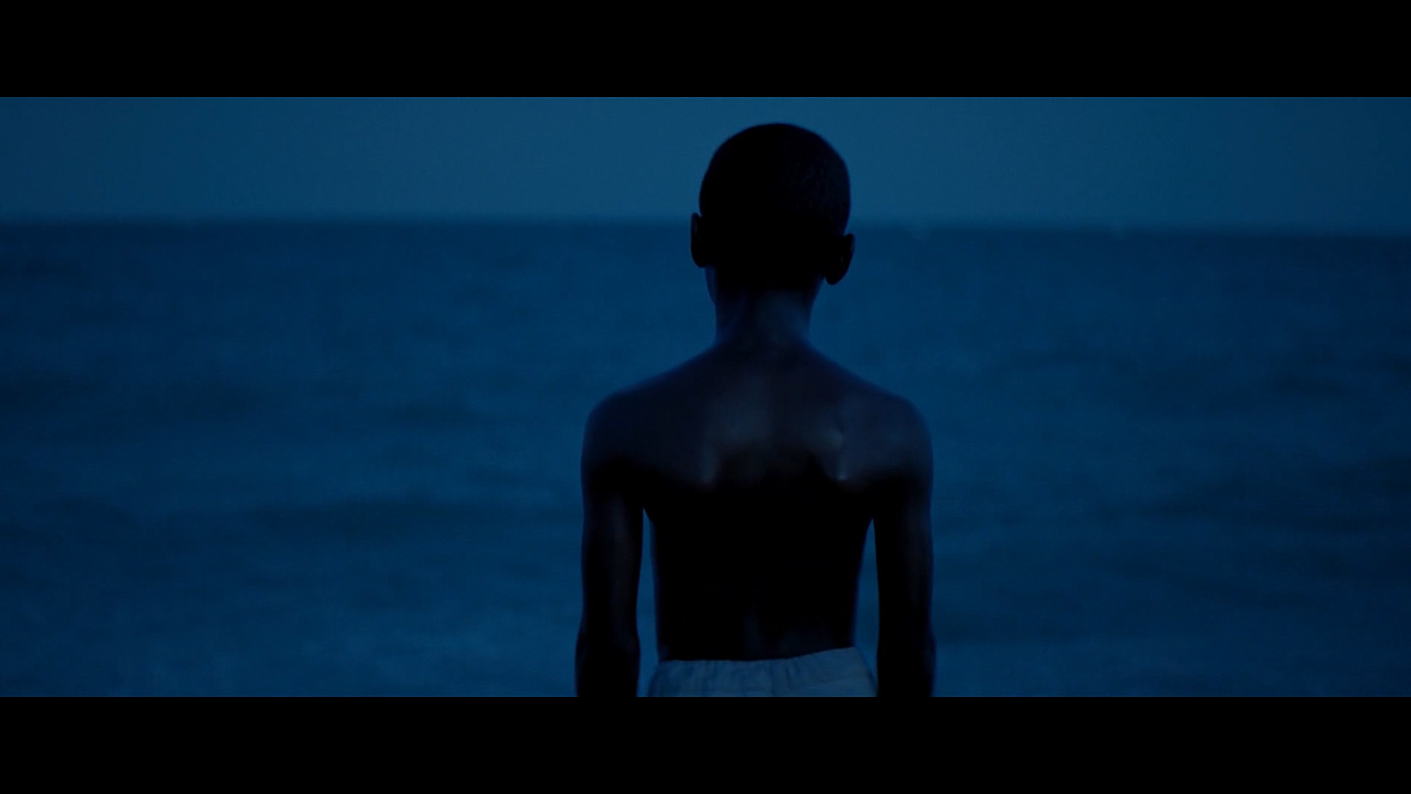 【电影混剪站】第89届奥斯卡获奖影片混剪大赏