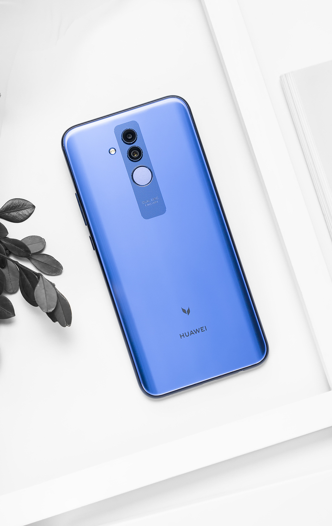 静物练习:华为麦芒7 魅海蓝图赏