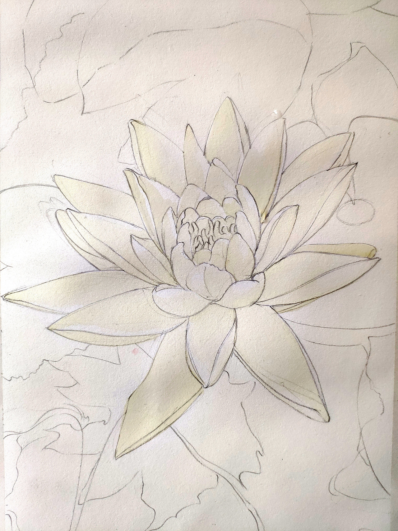 水彩莲花|纯艺术|绘画|山马霖_原创作品-站酷(zcool)