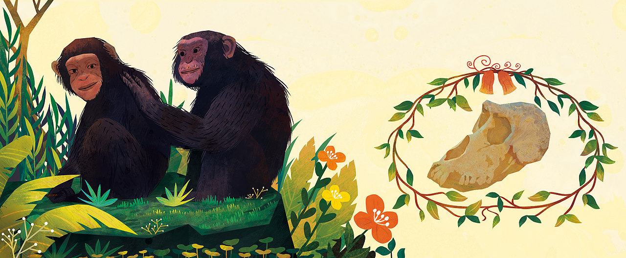 《穿越时空的自然博物馆》绘本合集