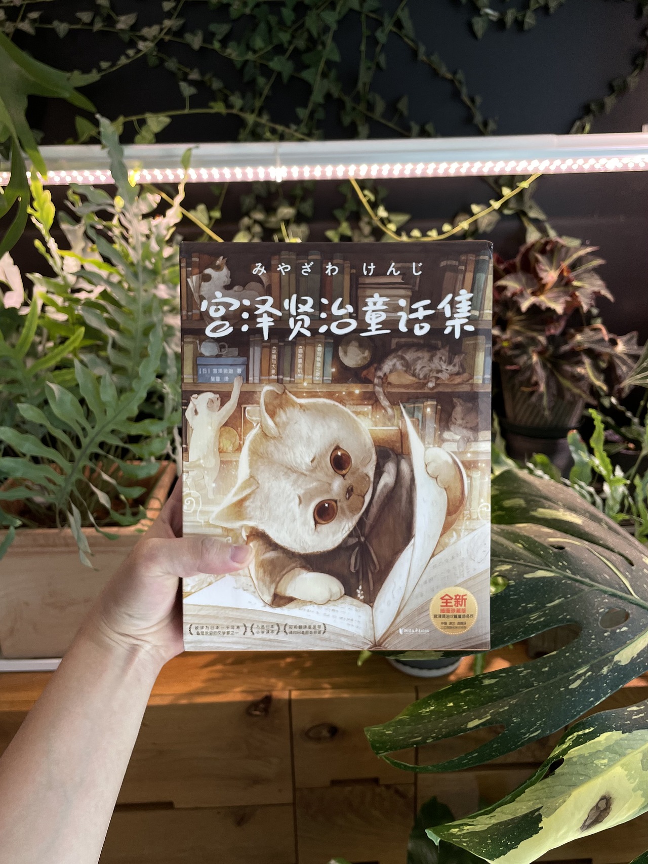 之前合作的一本童书《猫咪事务所》插画封面和内页（图ZMjcyNjUyMzg4） - 商业插画 - 站酷设计师starry阿星原创素材 - 站酷ZCOOL
