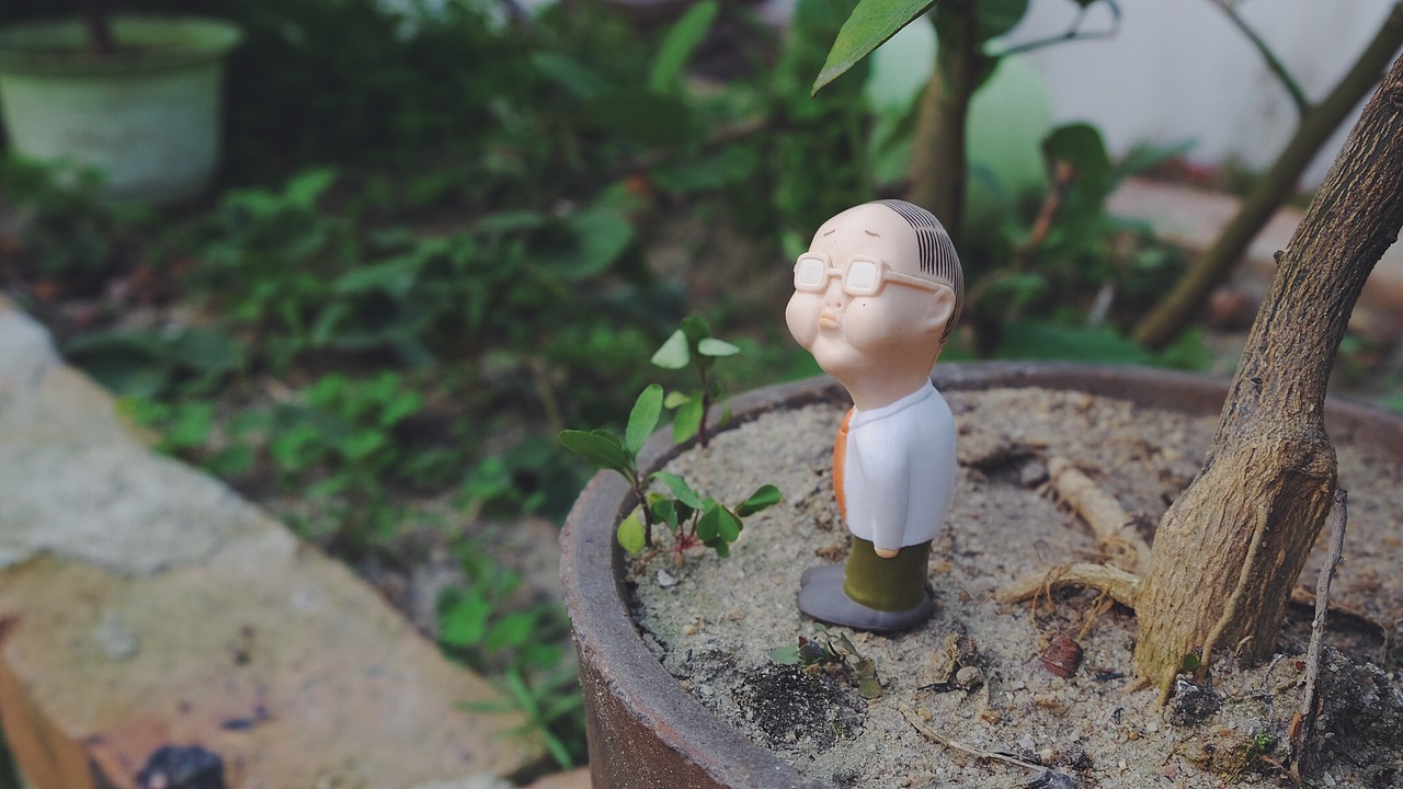 欧吉桑下田视察记(我的天啊站酷可以直接发图了)