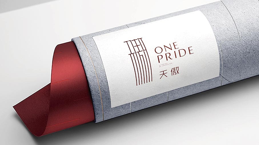 天傲视觉系统（图ZMTA3MjQ1ODg4） - Logo - 站酷设计师chinsam原创素材 - 站酷ZCOOL