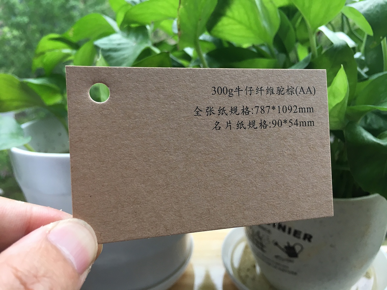 2019款特种纸艺术纸实物展示样册