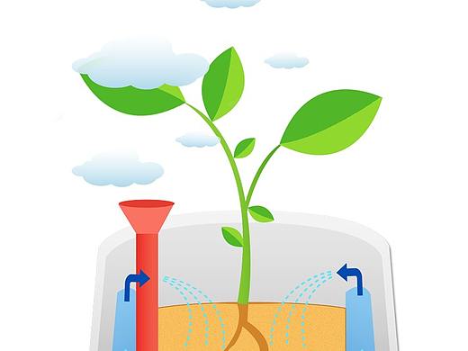 花一派App 4.5版本独立设计