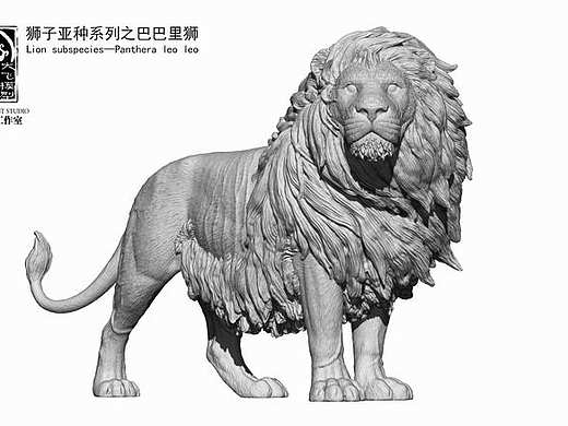 逝去的的王者——巴巴里狮。