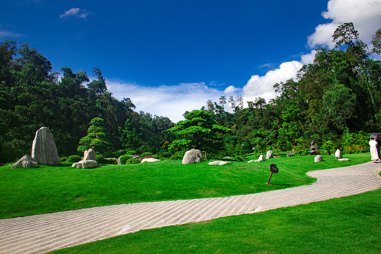 个人室外摄影深圳仙湖植物园