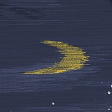 CHENPM的头像