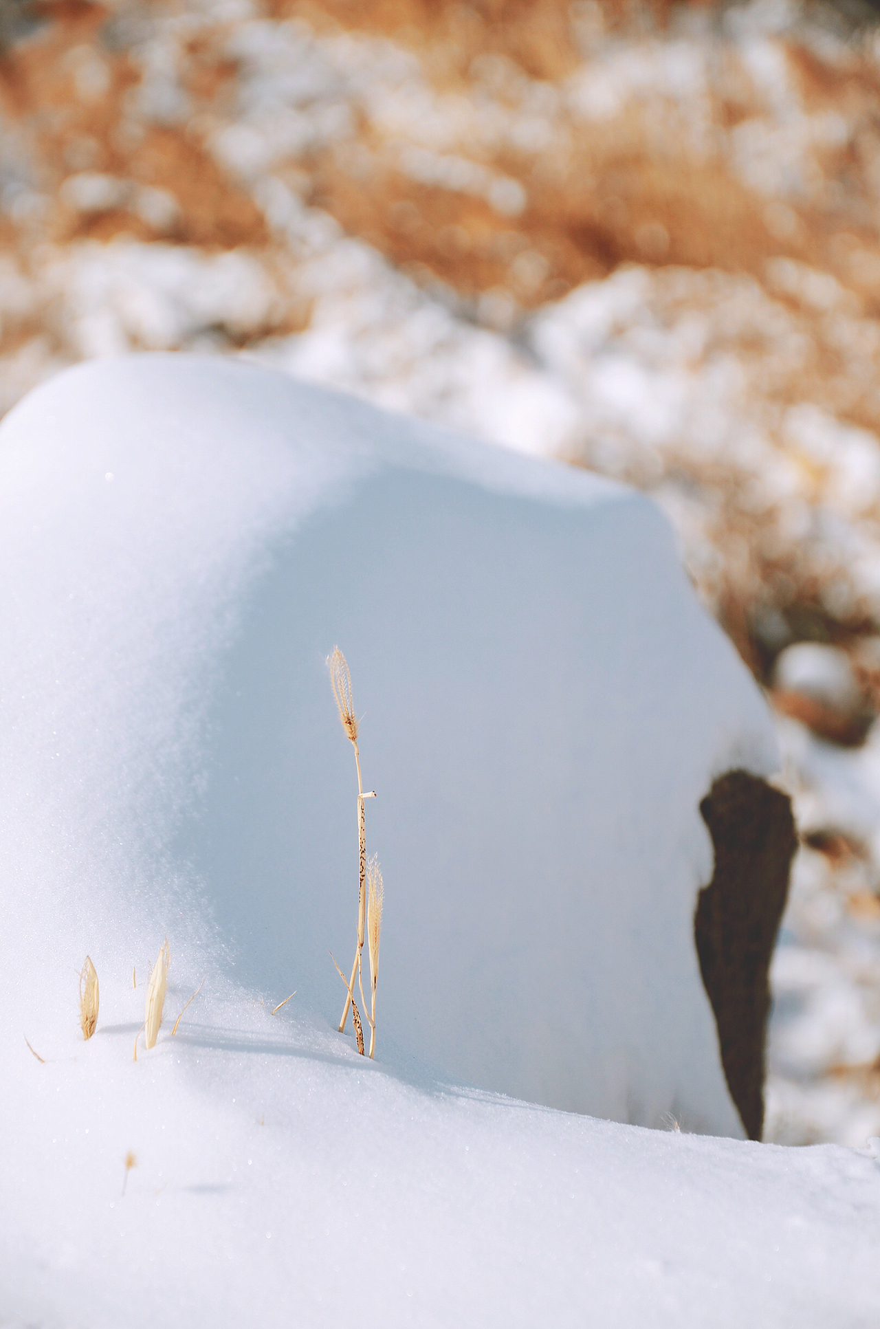 风景摄影（图ZMTQzOTM4Njg0） - 风光摄影 - 站酷设计师MichelTao原创素材 - 站酷ZCOOL