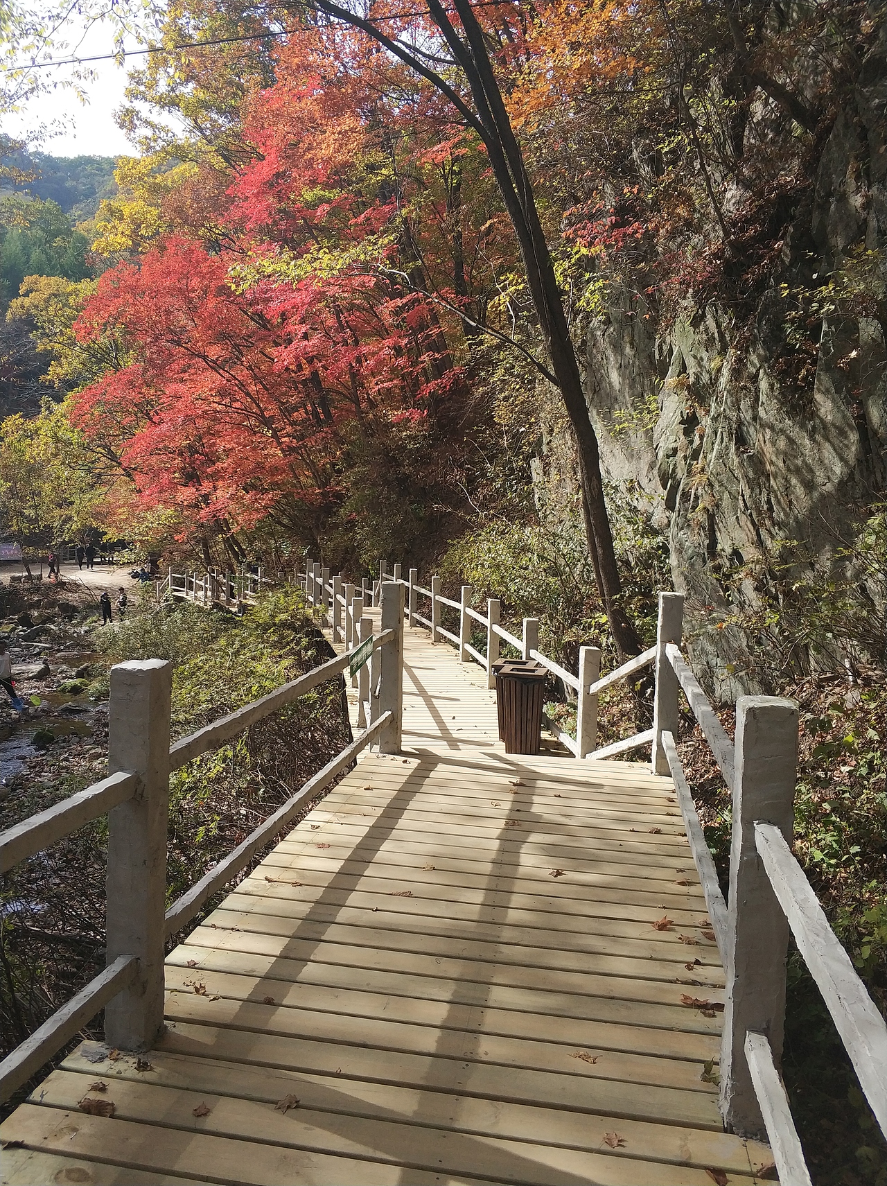 摄影 · 《绿石谷》