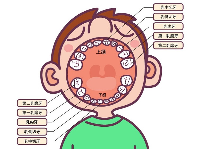 德科牙刷