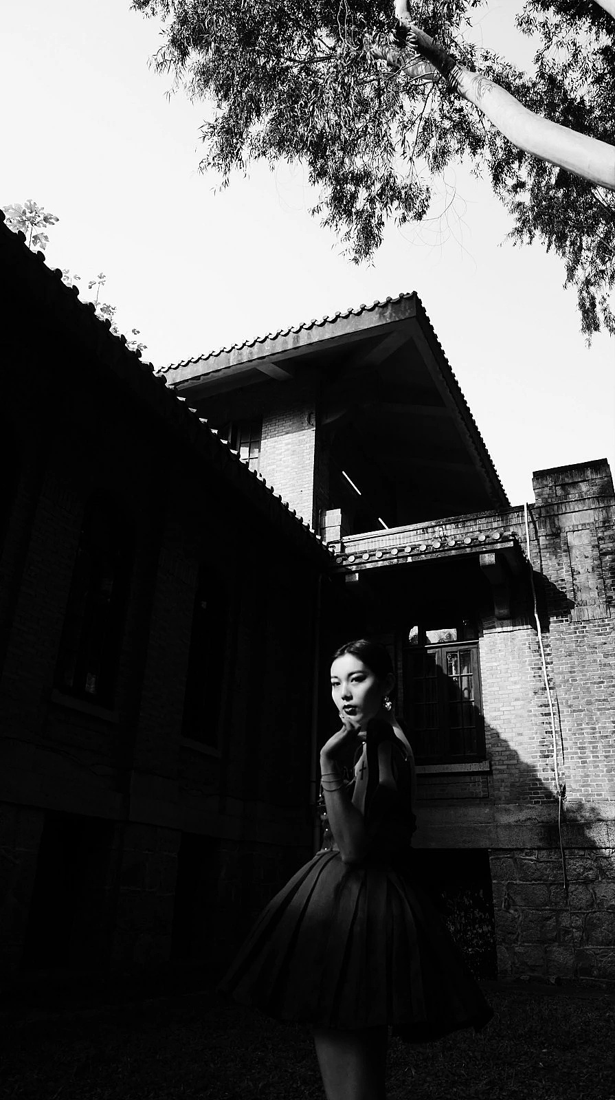 最初的摄影作品