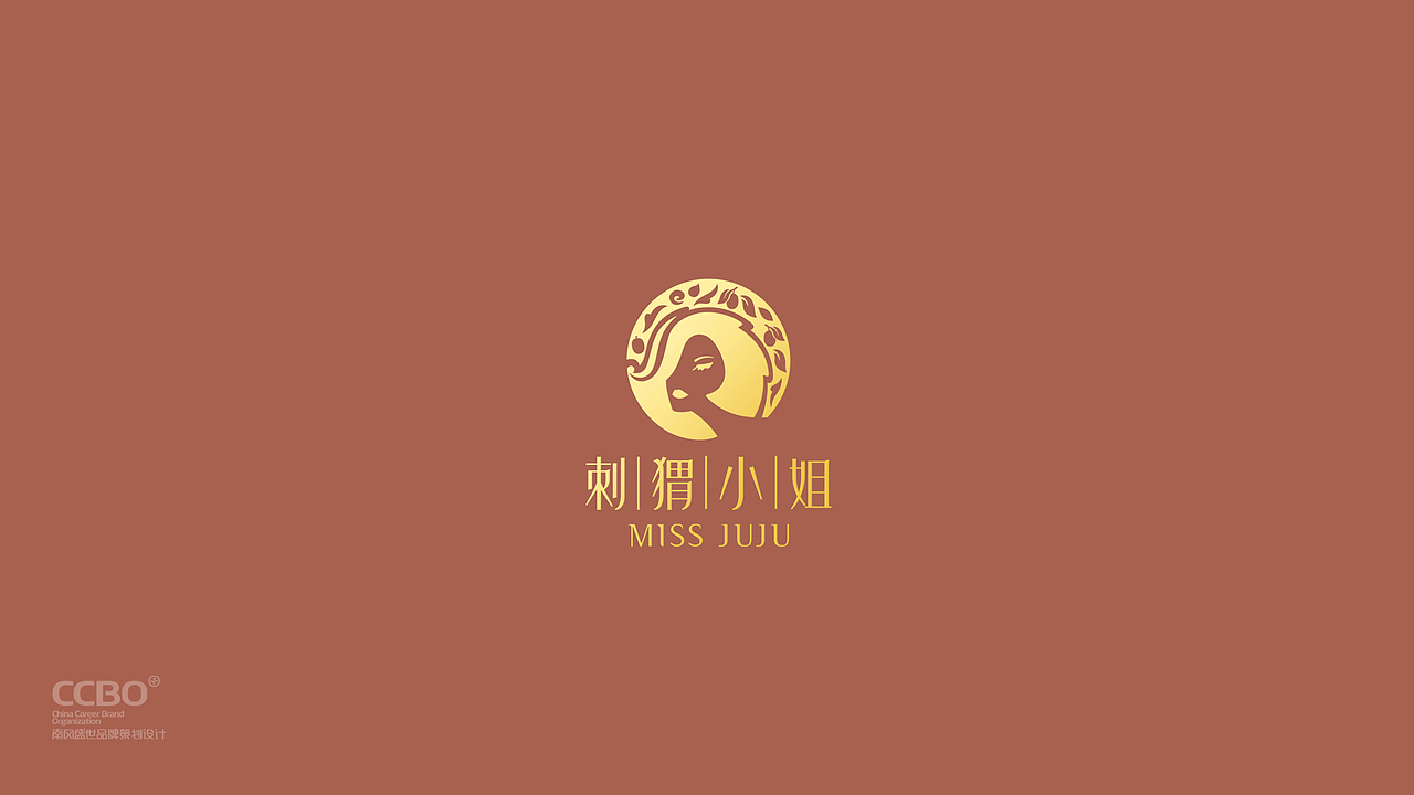 南风盛世品牌VI设计新作品集201905