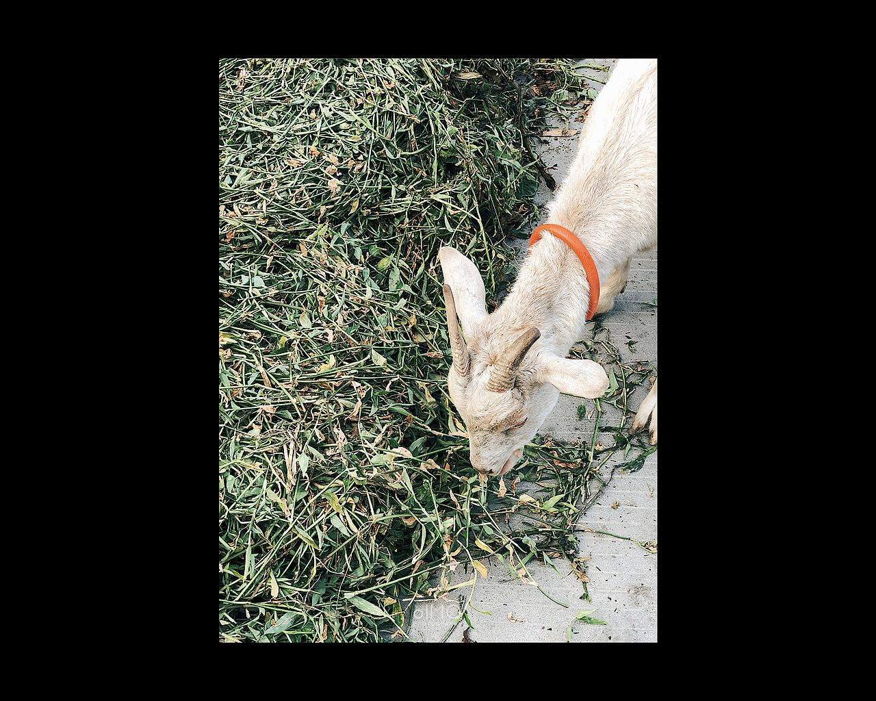 2019 | 手机摄影合集