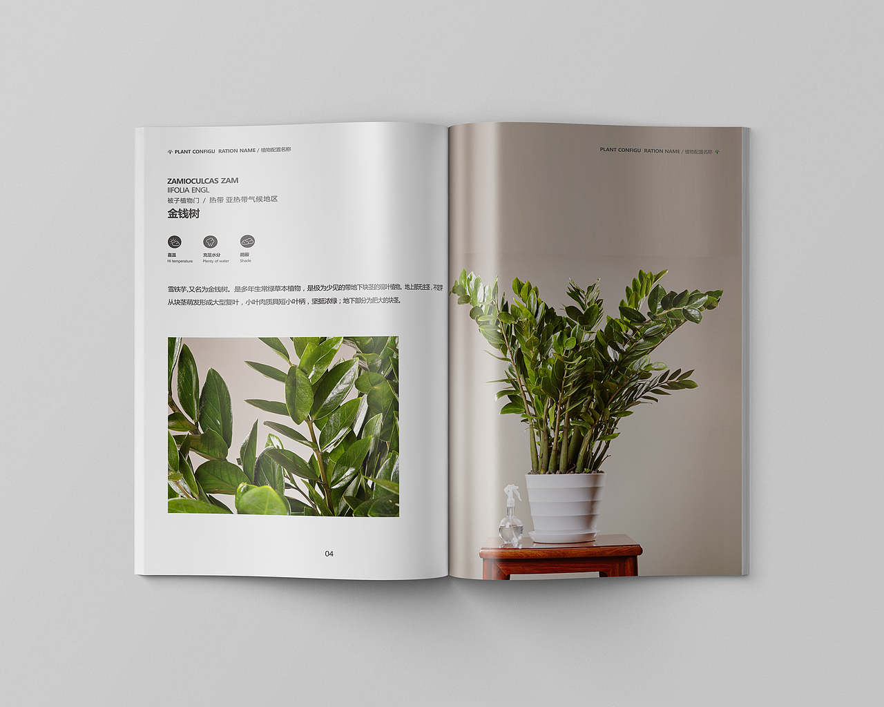 景观植物配置（图ZOTM4OTE5Njg=） - 书籍/画册 - 站酷设计师黄黄黄黄家胜原创素材 - 站酷ZCOOL