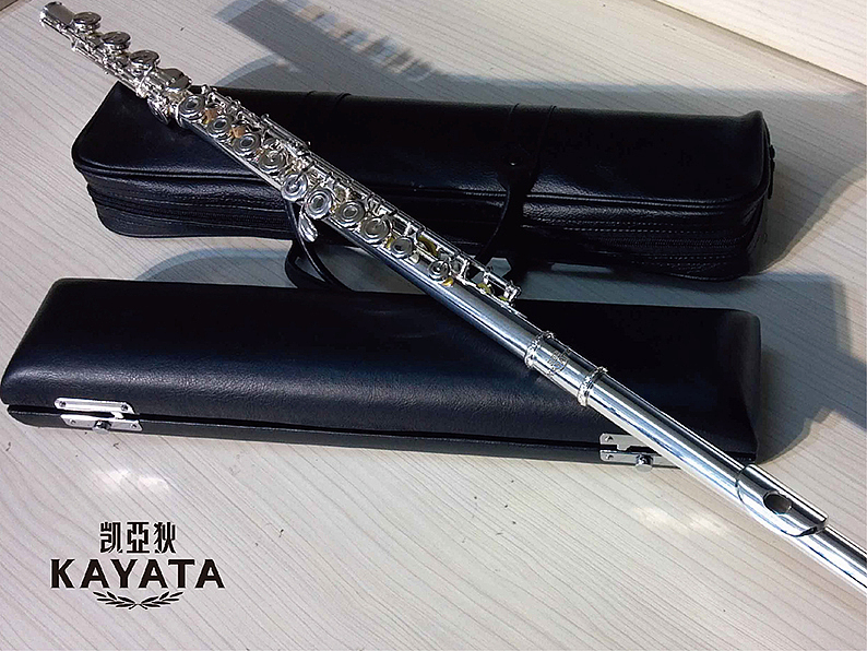 凯亚狄乐器标志设计