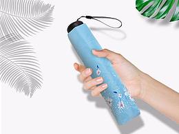 小雛菊雨傘詳情頁