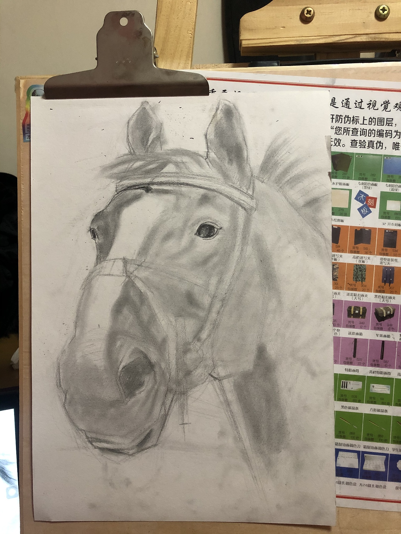 手绘马头铅笔素描 — 图库照片©maxtor7777＃161041026