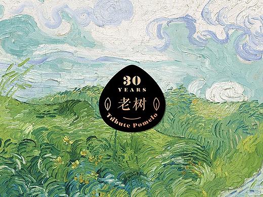 给一颗柚子做的包装