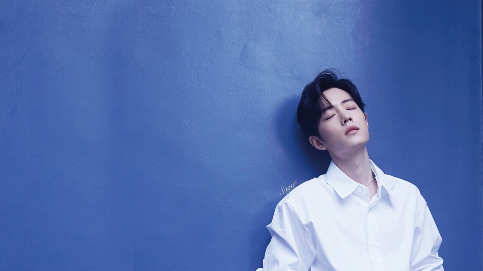 吾妻晚音的个人主页（背景预览） - 主页背景设置 - 站酷设计师吾妻晚音原创素材 - 站酷ZCOOL