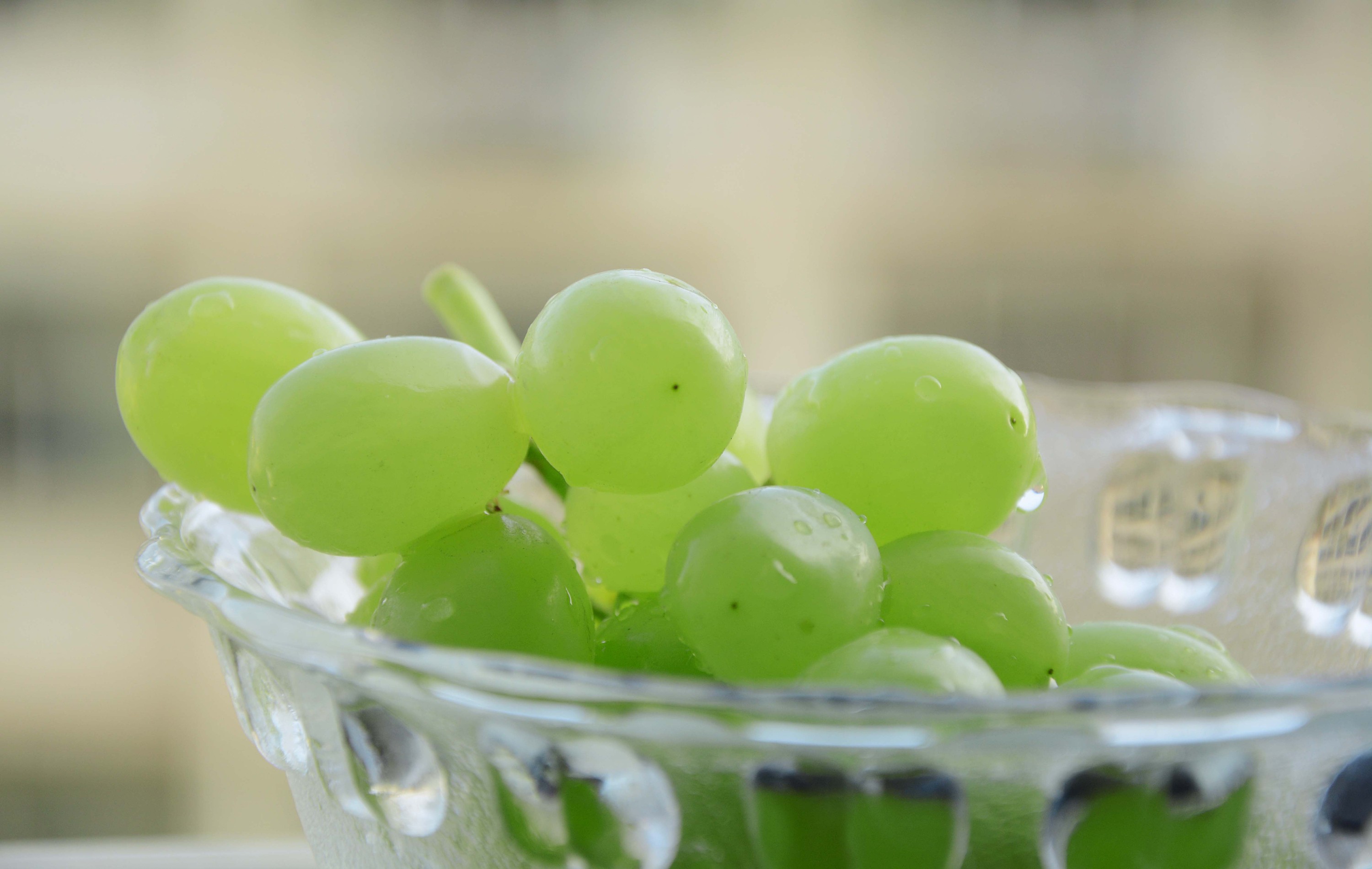 两块三毛钱吃了剩下一半的青葡萄