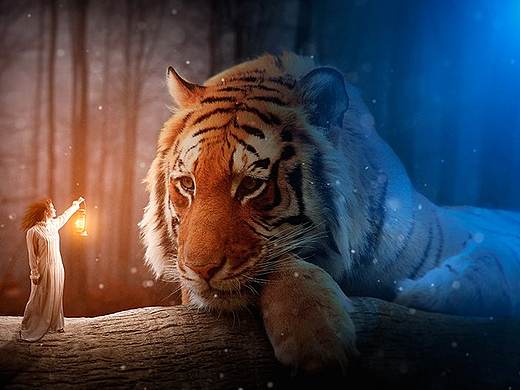 合成练习（个人主页-ZMzM2NzUxOTY=） - 海报 - 站酷设计师无知先森原创素材 - 站酷ZCOOL