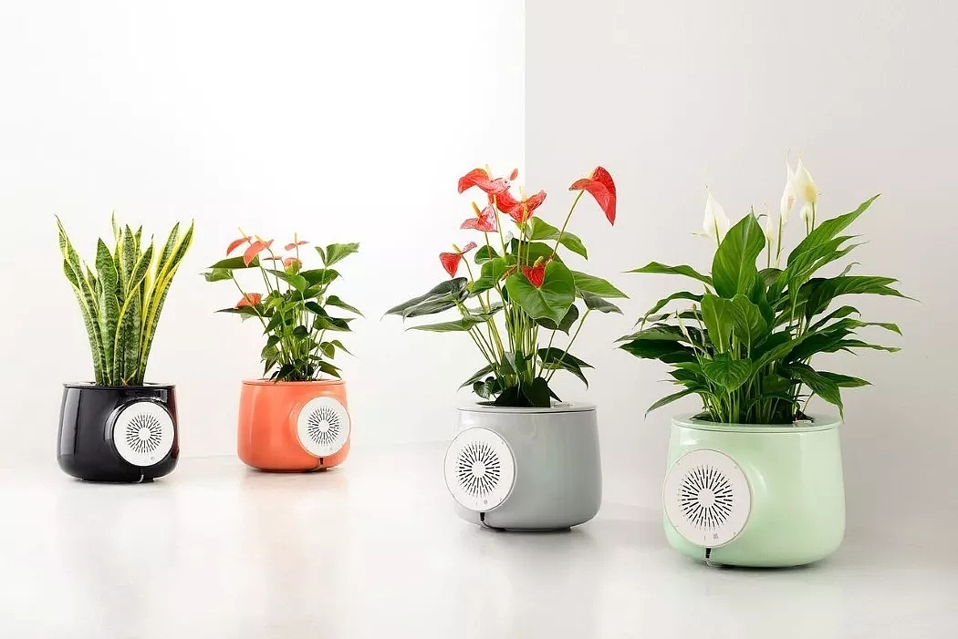 clairy植物空气净化器设计 br>这是一款巧妙利用植物生态净化的空气