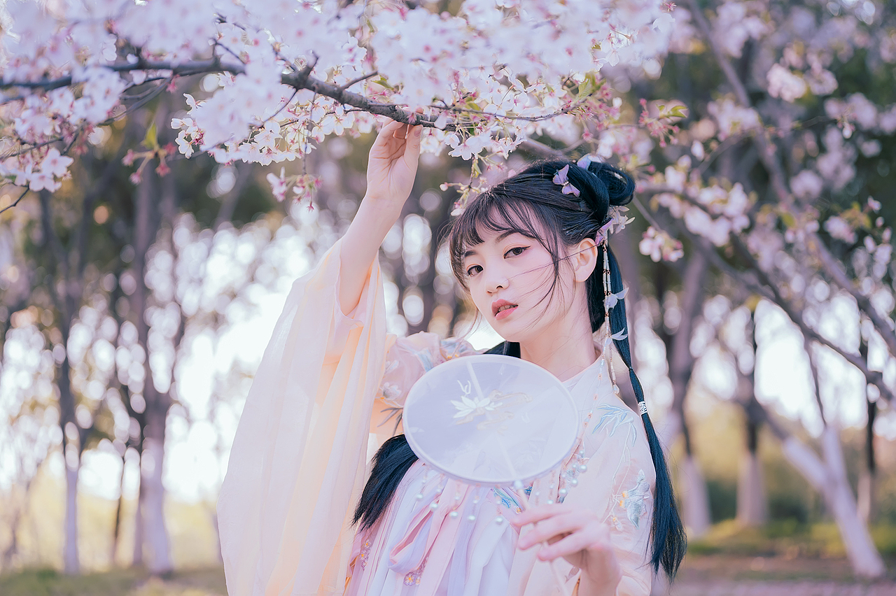 樱花落（图ZMjA0MzMxNjc2） - 人像摄影 - 站酷设计师拍照的青山原创素材 - 站酷ZCOOL